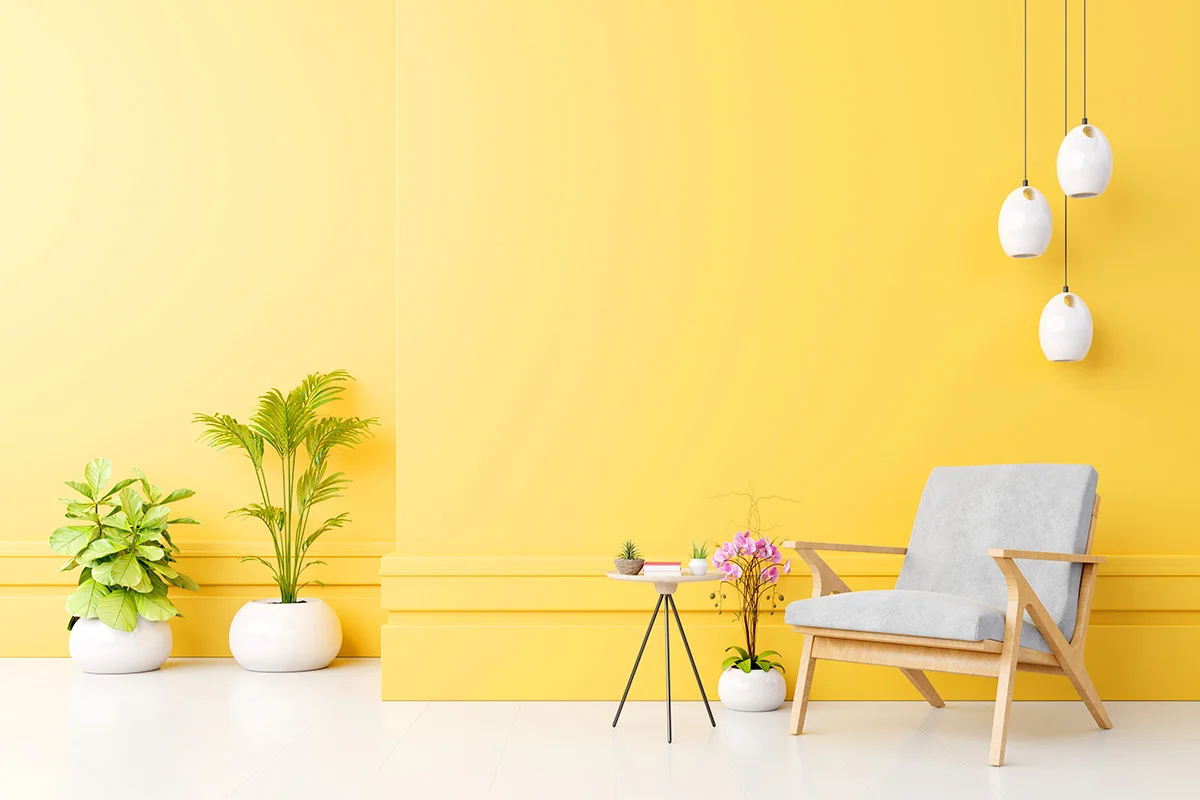 THE MASK​ ​ (TOP​ 1.5% IN​ ONLY​ FANS)​